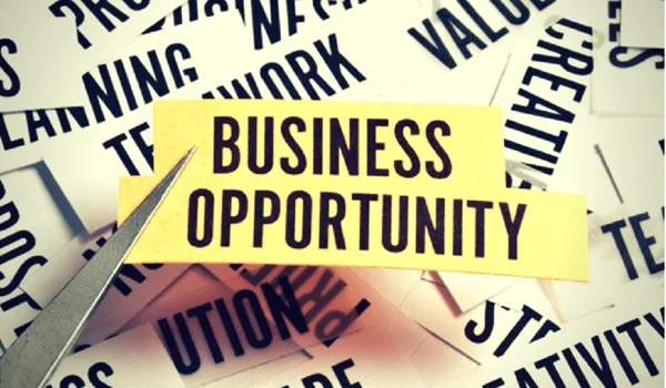 How to Identify a Profitable Business Opportunity